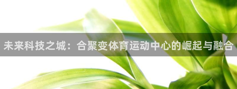 一竞技官方正版app集团官网首页:未来科技之城:合聚变体育运
