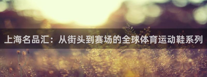 一竞技官网下载平台假的吗是真的吗吗:上海名品汇:从街头到赛场