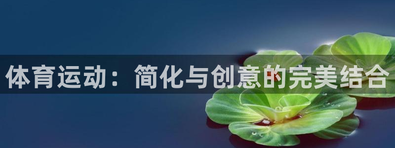 一竞技官方正版app娱乐首页网站大全:体育运动:简化与创意的